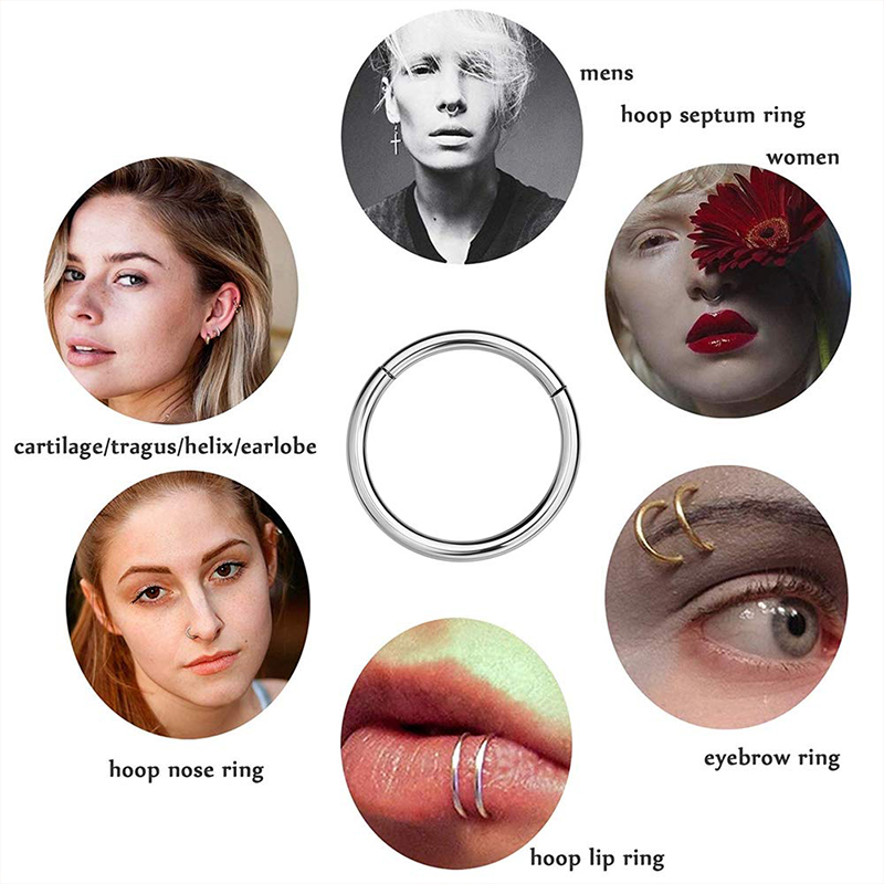 16G 316L Surgical Steel Hinged - Body Jewelry Septum のレビューと価格