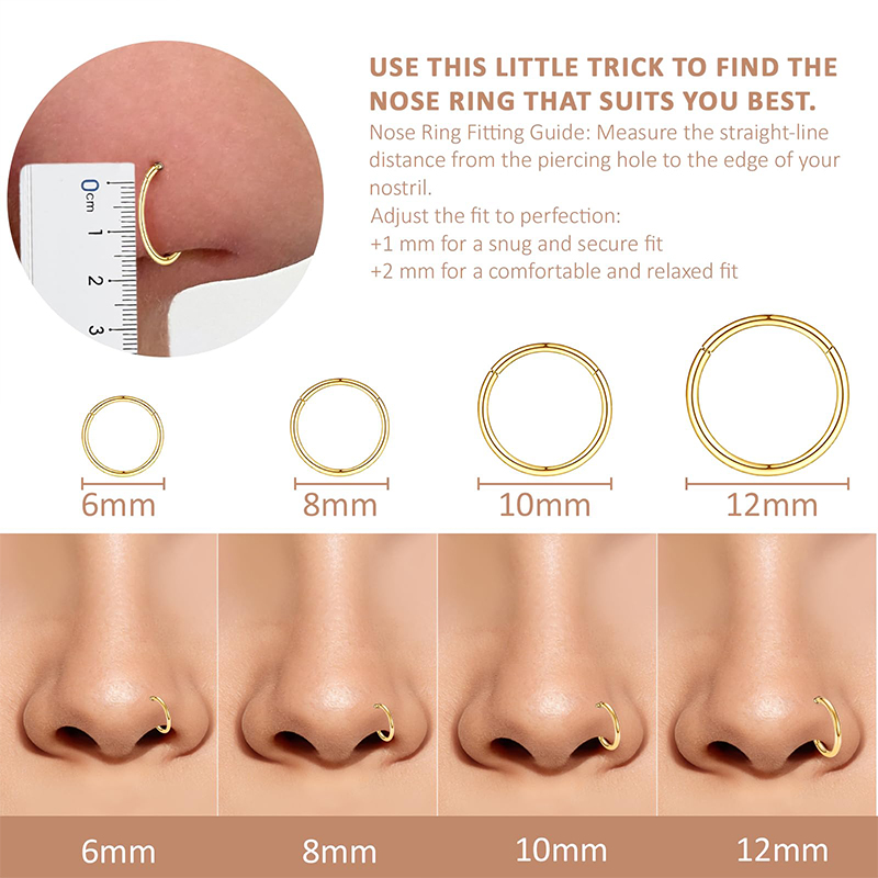 16G 316L Surgical Steel Hinged - Body Jewelry Septum のレビューと価格