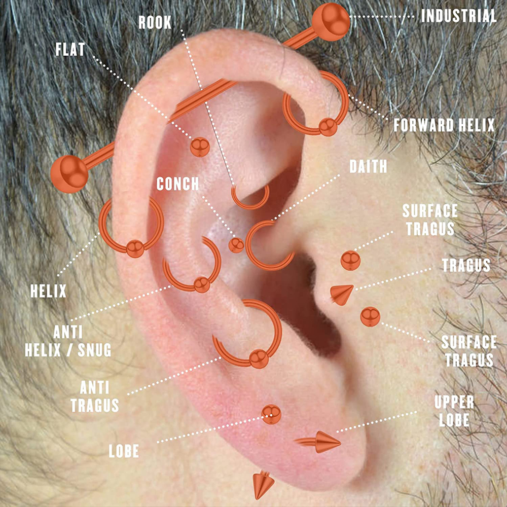 Stainless Steel Piercing Kit B - Body Jewelry Septum のレビューと価格