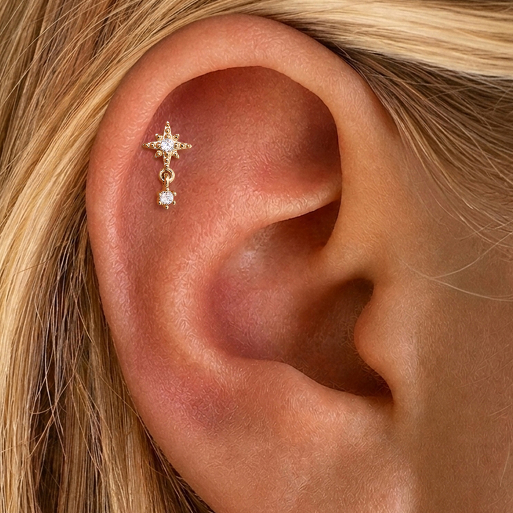 AIDE 14K Solid Gold Octagonal  - Star Flat Back のレビューと価格