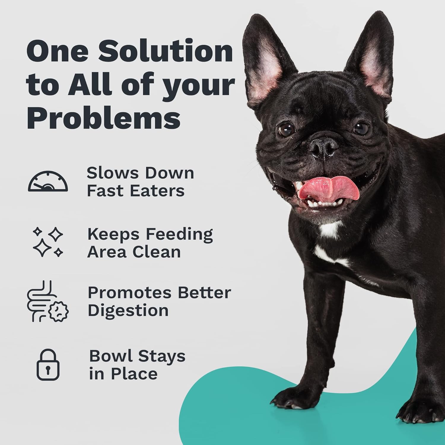 Enhanced Pet Bowl – Slanted St - Star Flat Back のレビューと価格