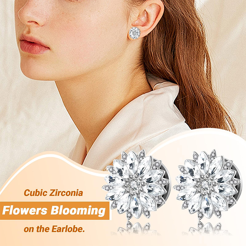 Ear Plugs and Tunnels with Cub - Body Jewelry And Piercing のレビューと価格